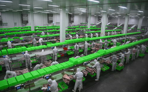 內(nèi)鄉(xiāng)牧原食品城正式投入運(yùn)行 一期投資5億元，年屠宰加工200萬(wàn)頭生豬，推動(dòng)生物技術(shù)開發(fā)